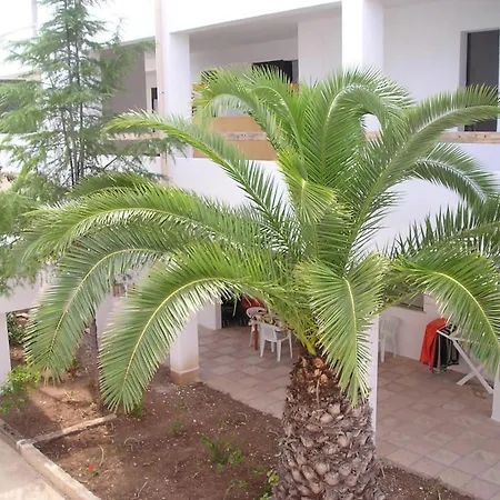 Gallo Mare Apartman